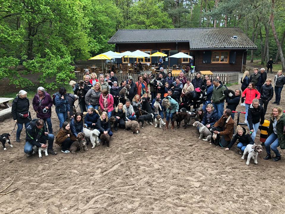 Spaanse Waterhonden wandeling groepsfoto van de alle pup kopers !