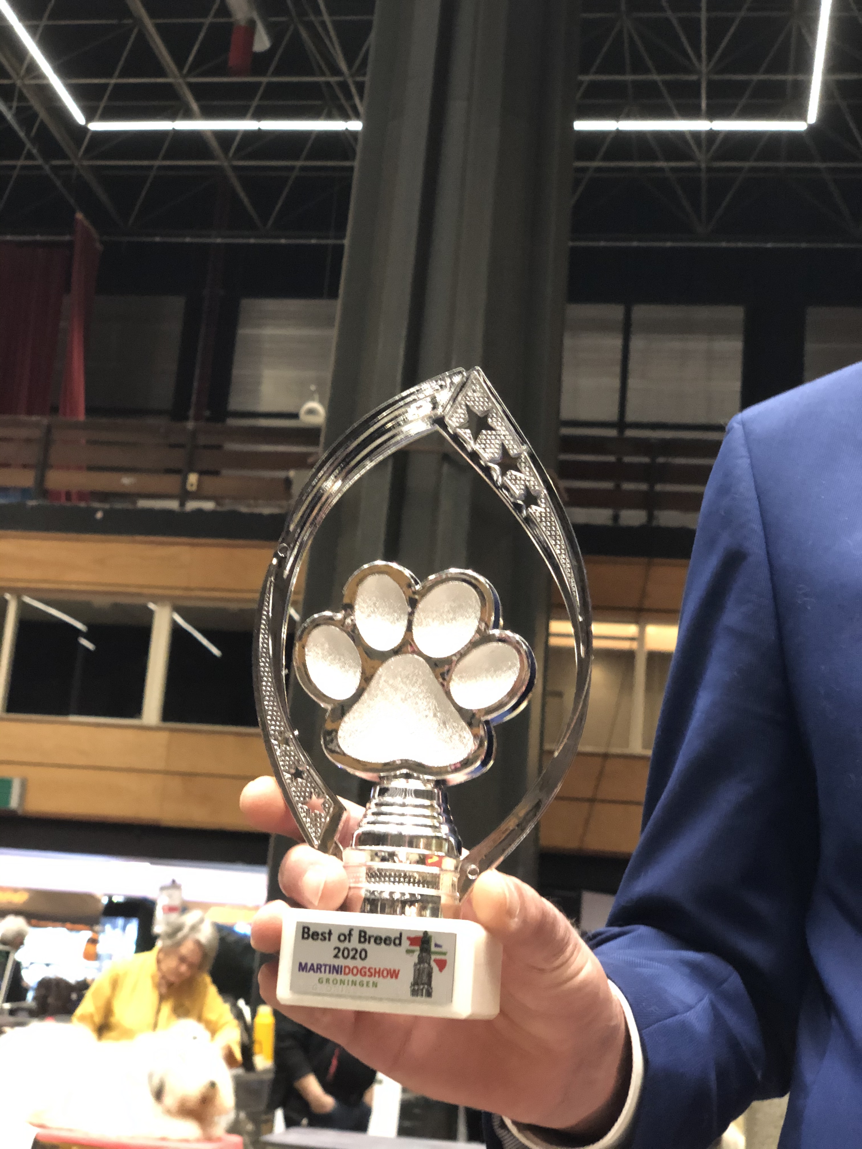 Spaanse Waterhond  BOB cup