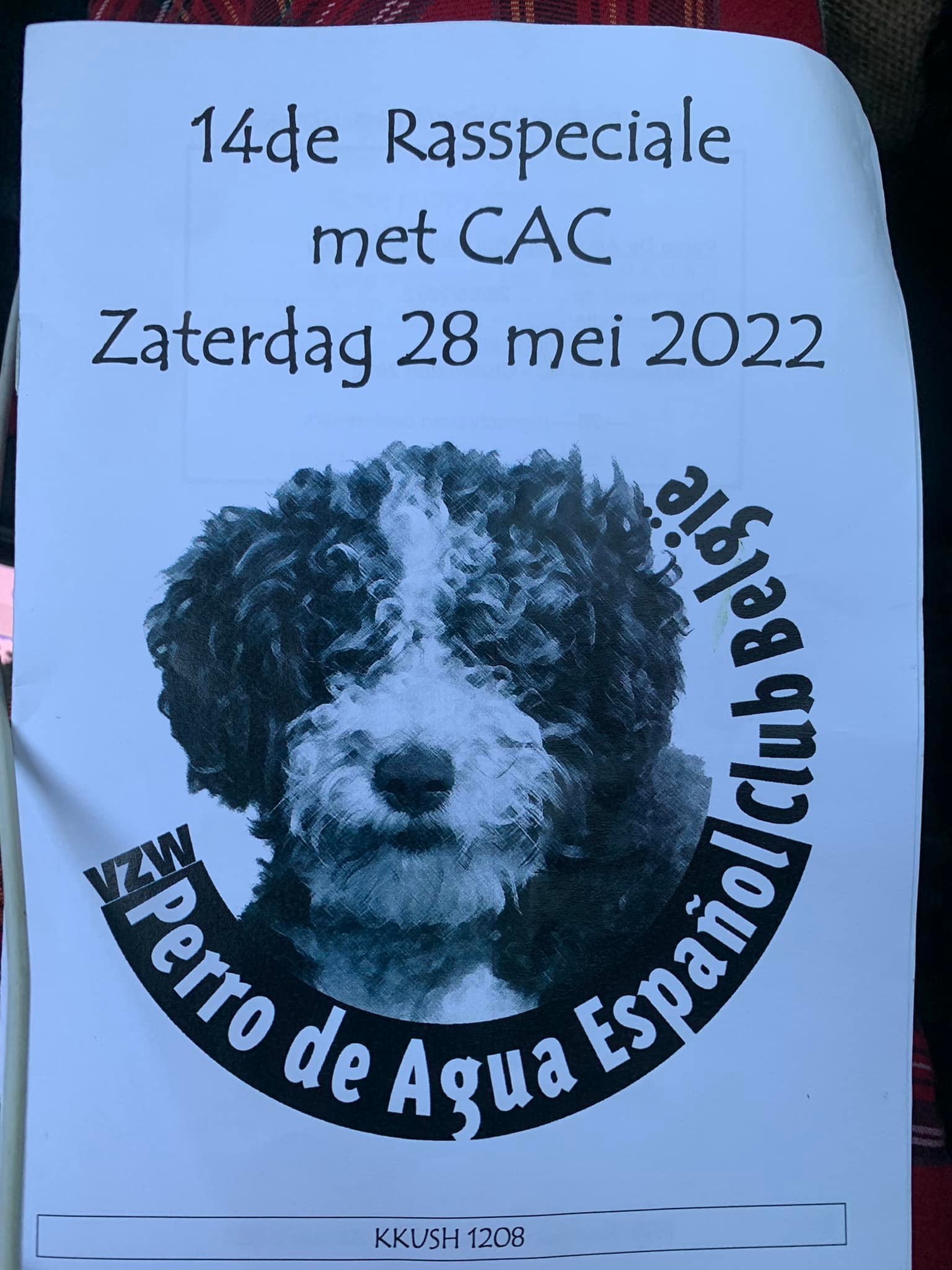 Spaanse waterhond Clubmatch affiche