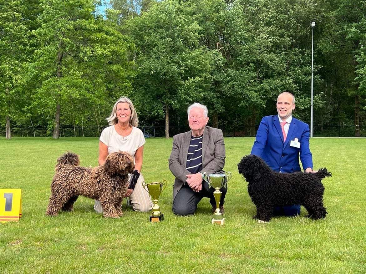 Spaanse waterhond BOB en BOS met keurmeester