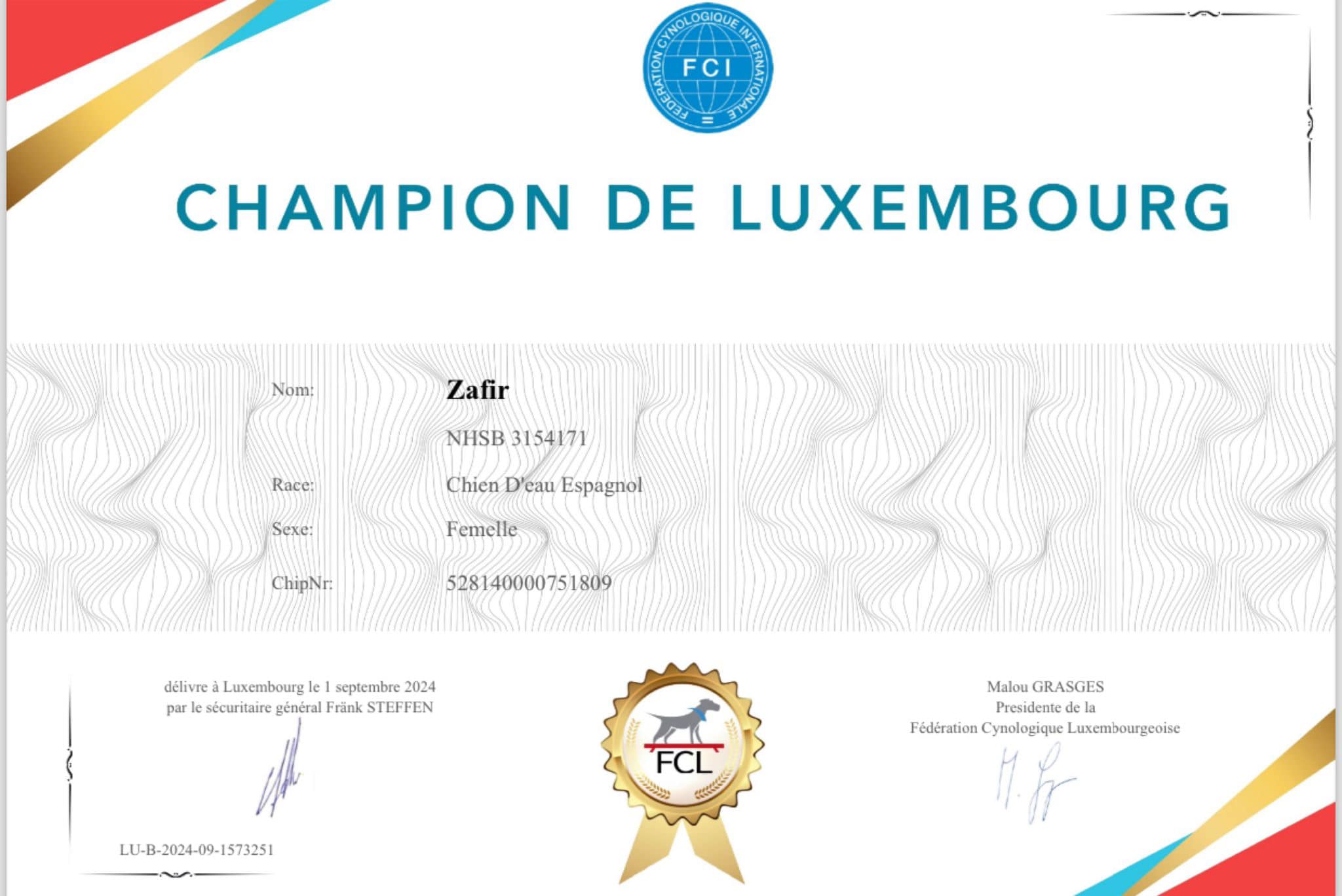 Spaanse Waterhond  Luxemburgs kampioen