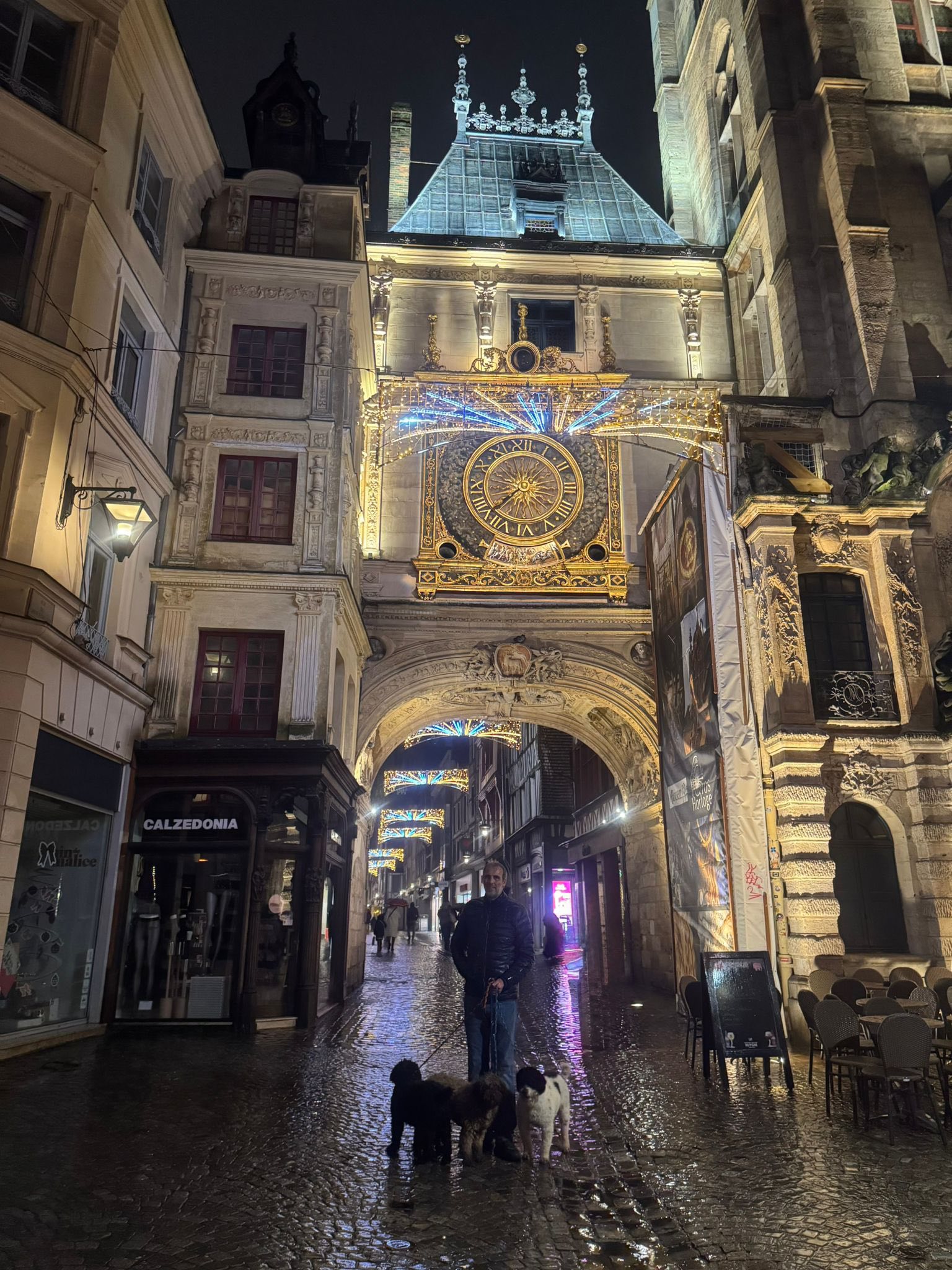 Spaanse Waterhonden in Rouen