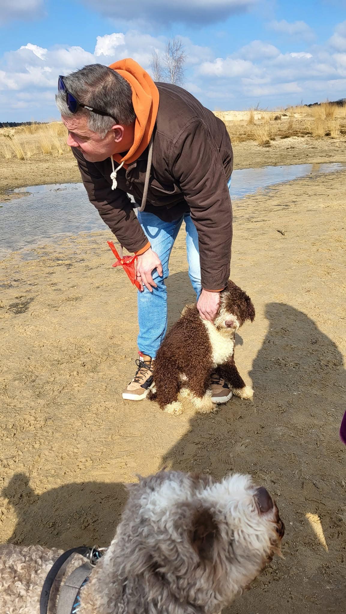 Spaanse waterhond Amaragua Wandeling