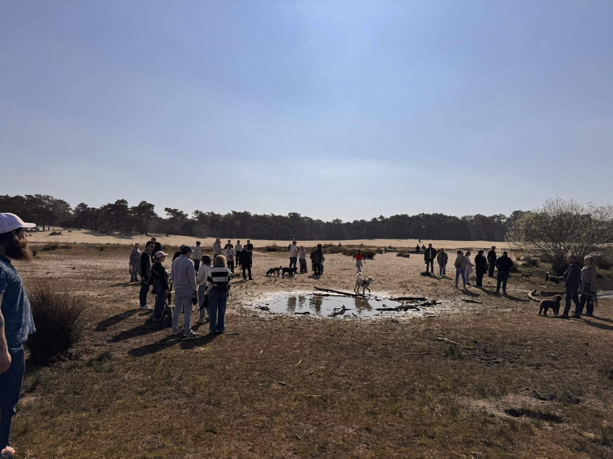 Amaragua Spaanse Waterhonden 2e wandeling 2026